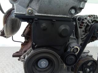 защита (кожух) ремня ГРМ Renault Modus 1 поколение 2006, 1.4 л., бензин, МКПП