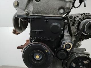 защита (кожух) ремня ГРМ Renault Modus 1 поколение 2006, 1.6 л., K4M 790, бензин