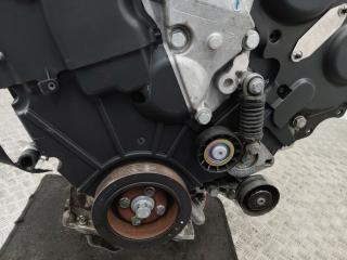 защита (кожух) ремня ГРМ Peugeot 406 1 поколение [рестайлинг] 2001, 3.0 л., XFX (ES9J4S), бензин, АКПП