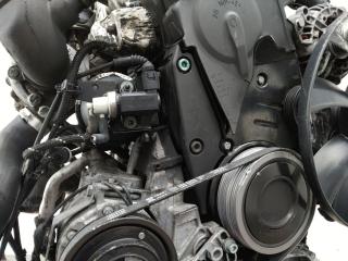 защита (кожух) ремня ГРМ Volkswagen Passat B5 [рестайлинг] 2002, 1.9 л., AVB, дизель, МКПП, 038103079