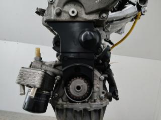 защита (кожух) ремня ГРМ Renault Clio 3 поколение 2008, 1.2 л., D4F 784, бензин, МКПП