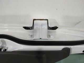 петля двери Nissan Cabstar F24 2015