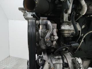 насос гидроусилителя руля Opel Insignia 1 поколение (A) 2011, 2.0 л., A 20 DTH, дизель, МКПП, 55563329