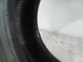 шина  - фото №6