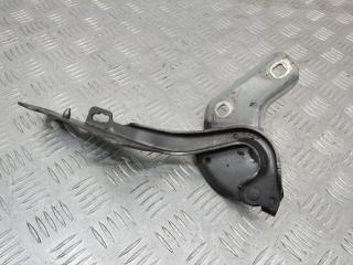 петля капота левая Renault Clio 3 поколение 2008, 719033