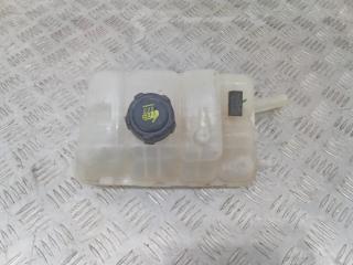 бачок расширительный Renault Megane 4 поколение 2017, 217104048R