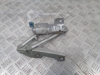 петля капота левая Opel Insignia 1 поколение (A) 2010, 13248765, 12841600