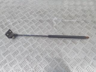 амортизатор капота DAF XF 95 1 поколение 2003, 1238280