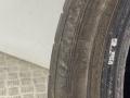 шина  - фото №3