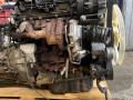 двигатель Ford Transit 7 поколение 2013, 2.2 л., DRRA, дизель, МКПП, DRRA, DRRB - фото №4