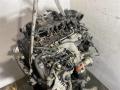 двигатель Audi A3 8P/8PA [2-й рестайлинг] 2010, 2.0 л., TDi, дизель, седан, CAH, CBA, CBB, CAHA, CAHB, CBD - фото №9