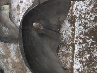 защита арок задняя левая (подкрылок) Audi A4 B7 2006, 2.0 л., бензин, седан, 8E0810121C, .