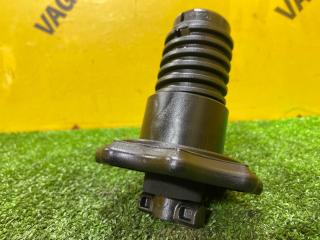крепление запаски Volkswagen Tiguan 2 поколение 2020, 2.0 л., бензин, 5Q0803899